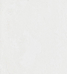 Флизелиновые обои Bernardo Bartalucci Gaga  84284-9