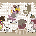 Circus 5 30855