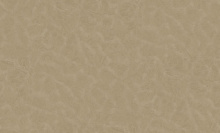 Bernardo Bartalucci Renzo 84165-6